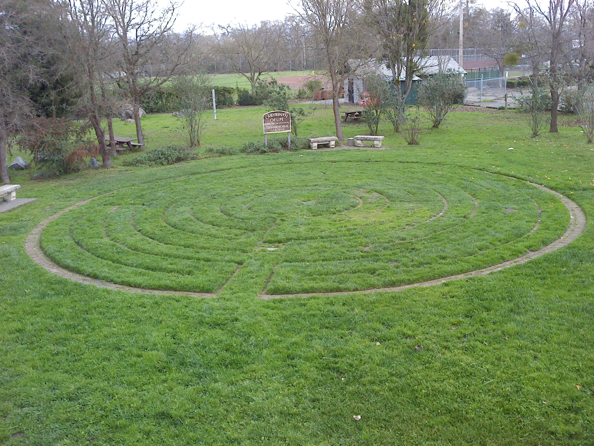 The Labyrinth of Life - a Rememberance The Labyrinth of Life - a Rememberance